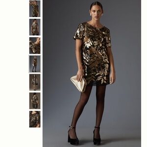 Anthropologie Short-Sleeve Sheer Embellished Mini Dress